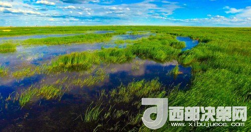 呼倫湖濕地。吳勇攝