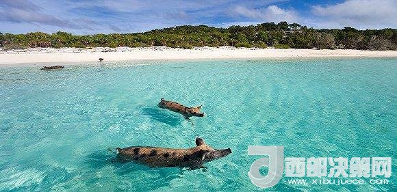 全球最佳海灘榜單出爐 我們選了10個(gè)來好好介紹