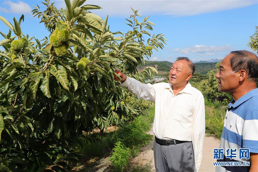 （新華全媒頭條·走向我們的小康生活·圖文互動(dòng)）（11）長(zhǎng)城腳下，小康村串成“珍珠鏈”