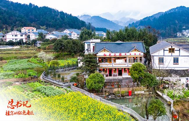 總書記掛念的紅色老區(qū)｜花茂村的“美麗鄉(xiāng)愁”