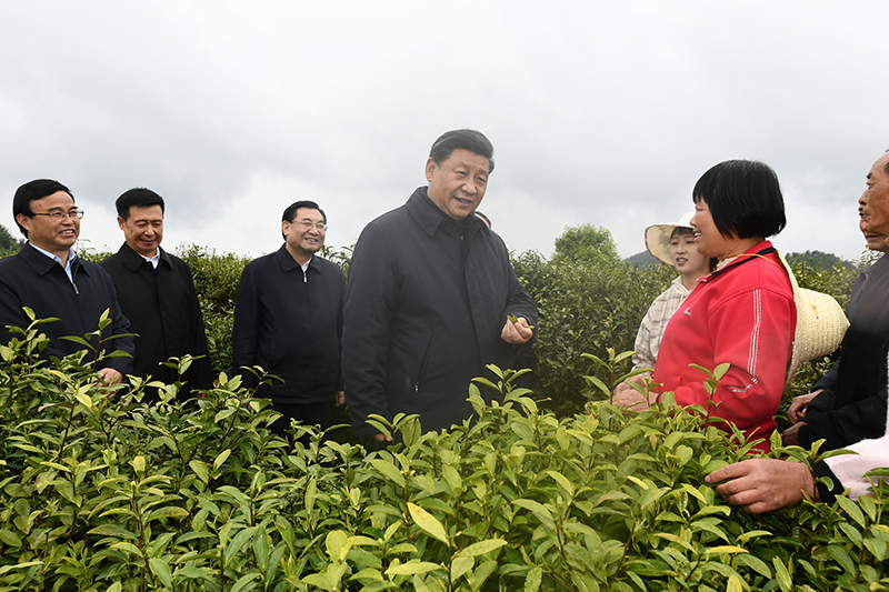 2020年4月21日，習(xí)近平總書記在陜西省安康市平利縣老縣鎮(zhèn)蔣家坪村女媧鳳凰茶業(yè)現(xiàn)代示范園區(qū)，同茶農(nóng)們親切交談。